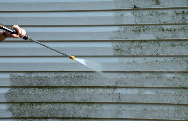 Best Pressure Washing Driveway  in Rio, WI