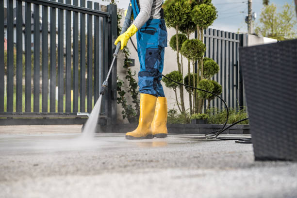 Best Roof Pressure Washing  in Rio, WI