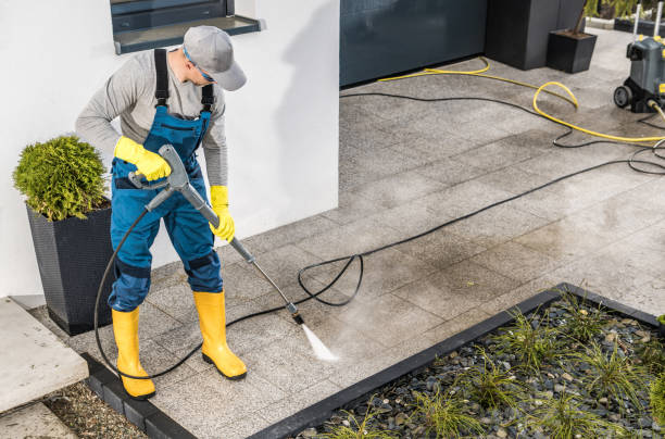 Best Roof Power Washing Services  in Rio, WI