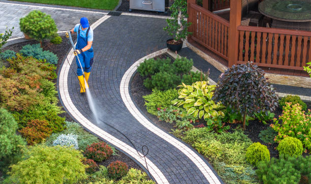 Best Best Pressure Washing Companies  in Rio, WI